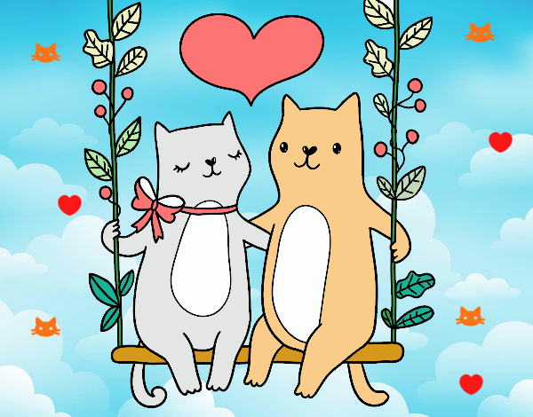 love cat