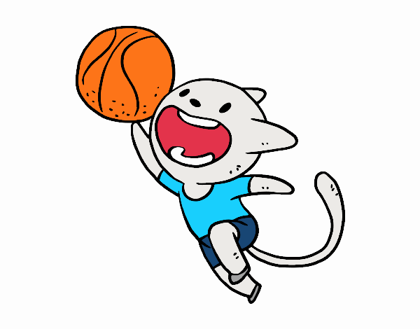 Gato jugando a baloncesto