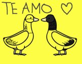 Pato hembra y pato macho