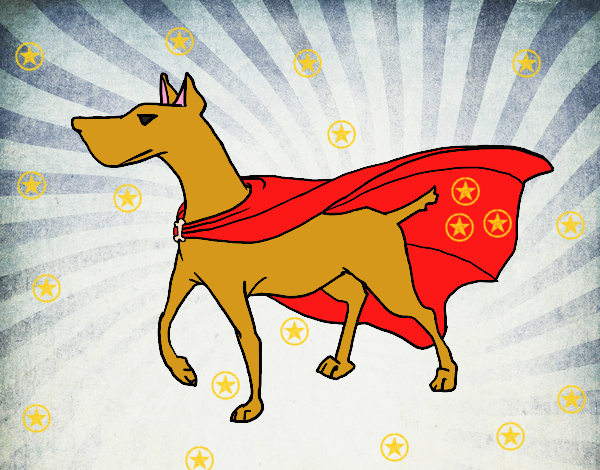 perro superheroe rescato al mundo del peligro