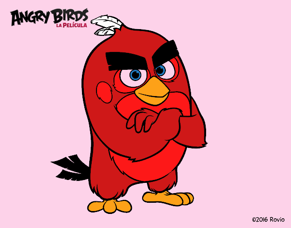 Red de Angry Birds