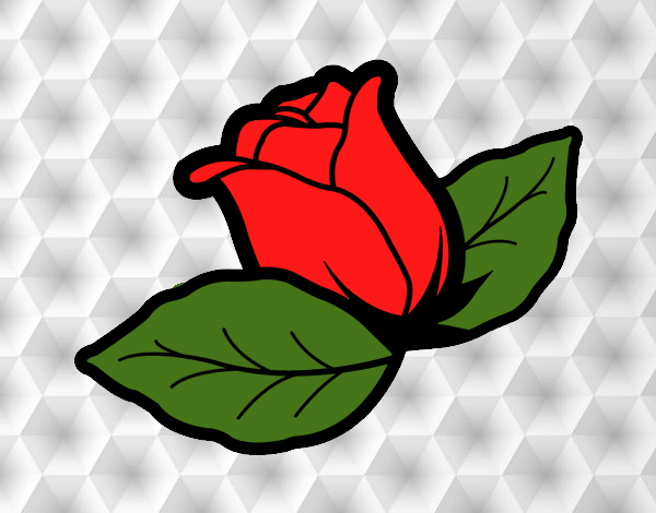 la rosa