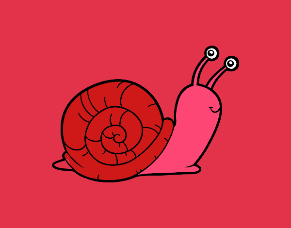 Un caracol