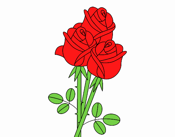 La rosa roja