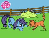 Applejack y Winona