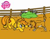 Applejack y Winona