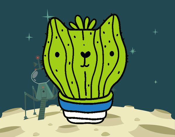 Cactus gato