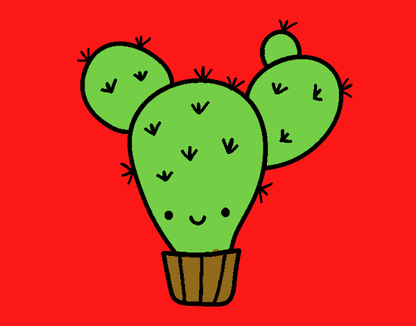 Cactus nopal