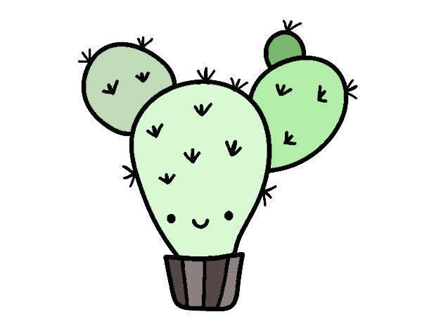 Cactus nopal