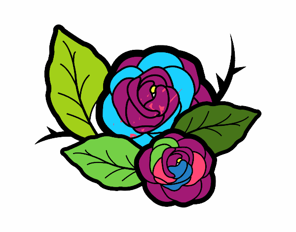 Dos rosas