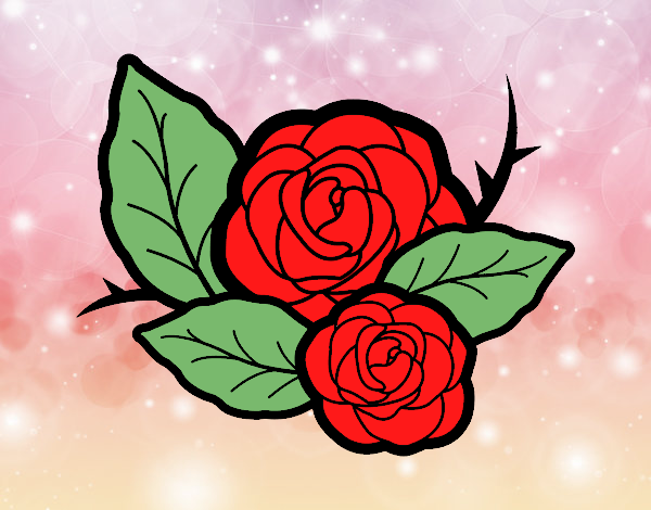 Dos rosas