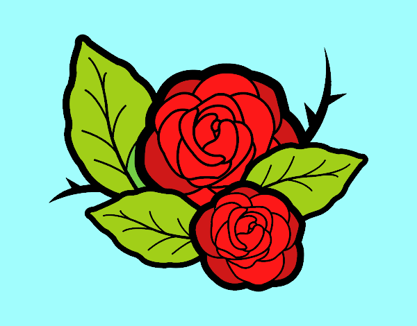 Rosas