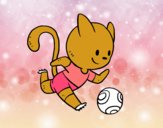 Gato jugando a fútbol