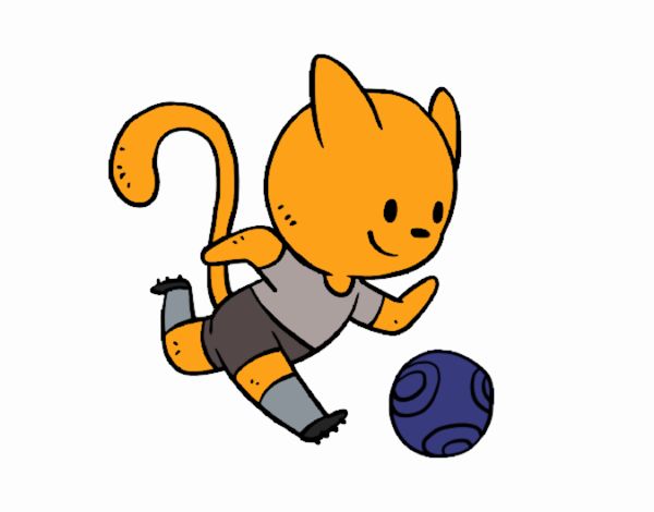 Gato jugando a fútbol