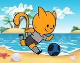 Gato jugando a fútbol