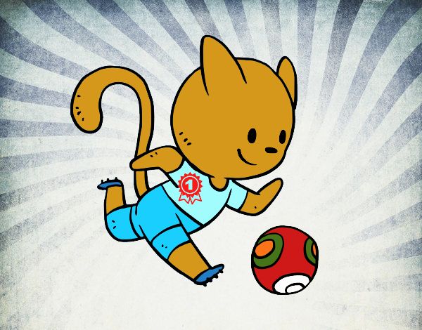 Gato jugando a fútbol