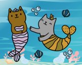 Gatos sirena