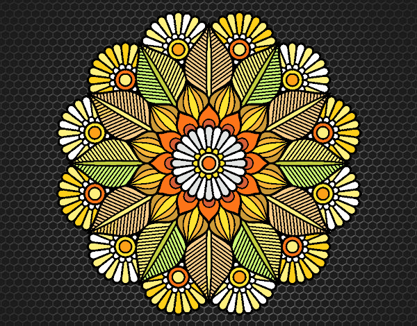 Mandala jardín vegetal