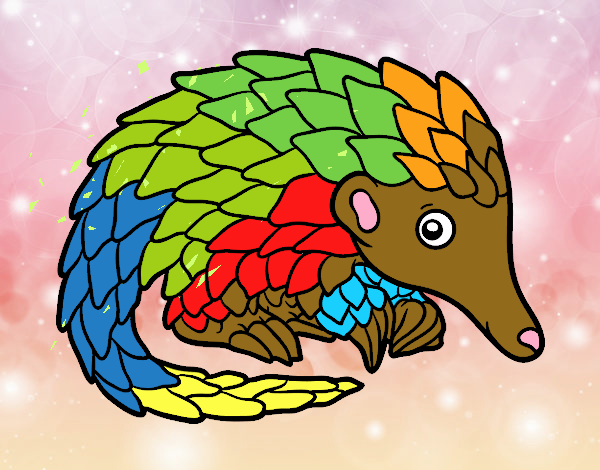 Pangolin