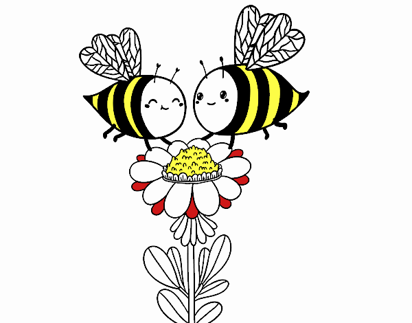 Pareja de abejas