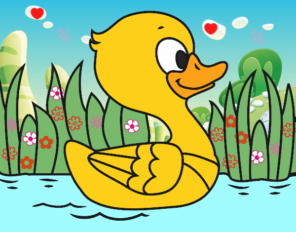 Patito de río