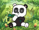 Un oso panda