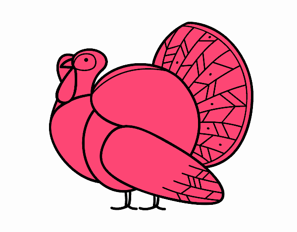 Un pavo