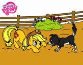 Applejack y Winona