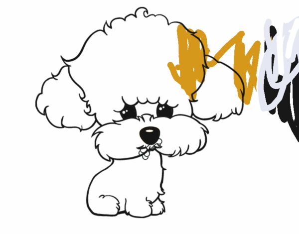 Cachorro de poodle