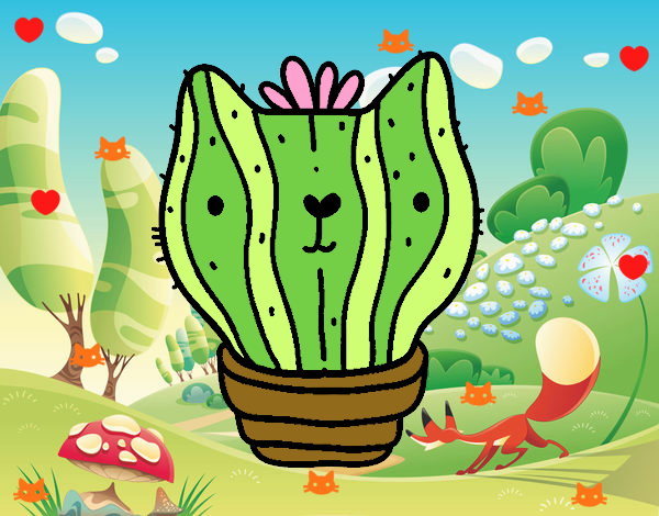 Cactus gato