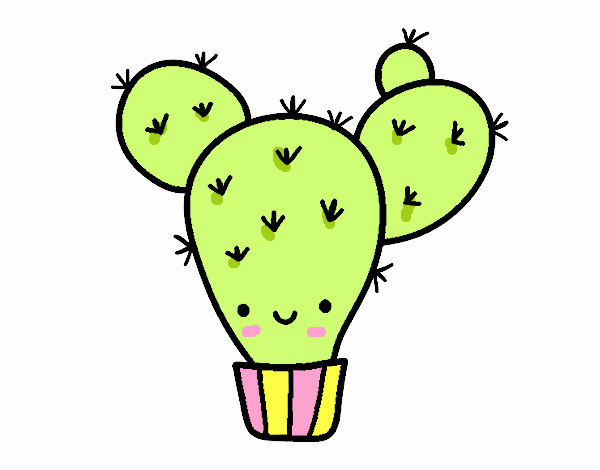 Cactus nopal