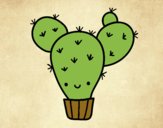 Cactus nopal