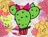 Cactus nopal