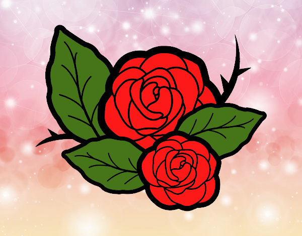 Dos rosas