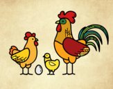 Familia gallina