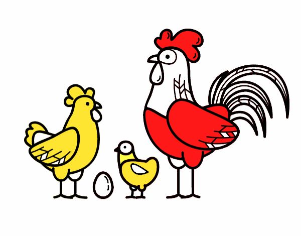 Familia gallina