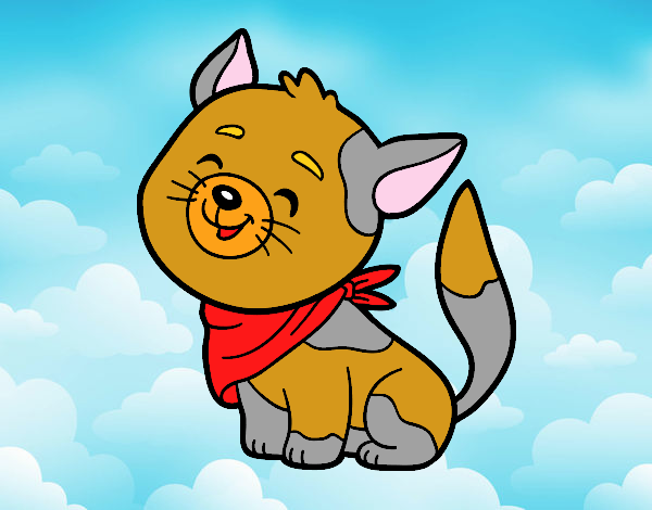 Gato con bandana