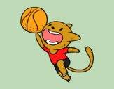 Gato jugando a baloncesto