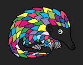 Pangolin