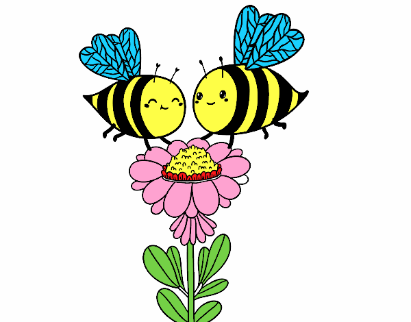 Pareja de abejas