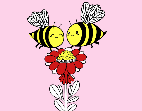 Pareja de abejas