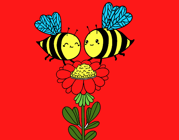 Pareja de abejas