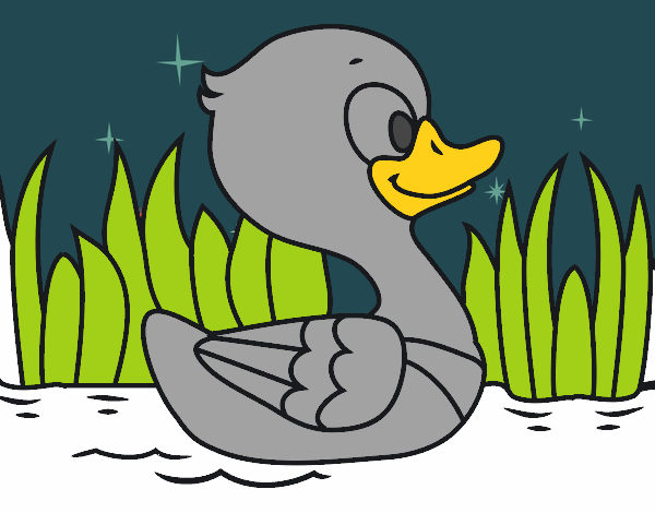 Patito de río