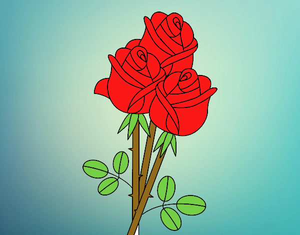 La rosa roja