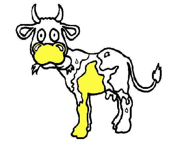 Vaca