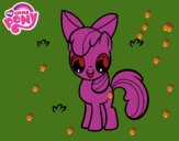 Apple Bloom