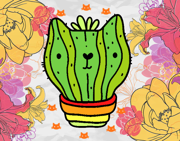 Cactus gato