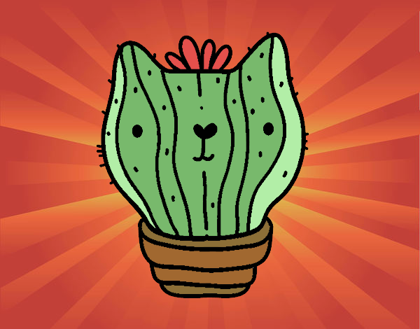 Cactus gato