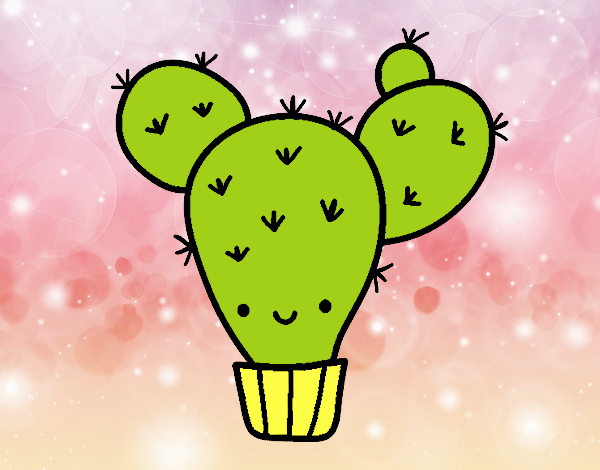 Cactus nopal