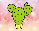 Cactus nopal